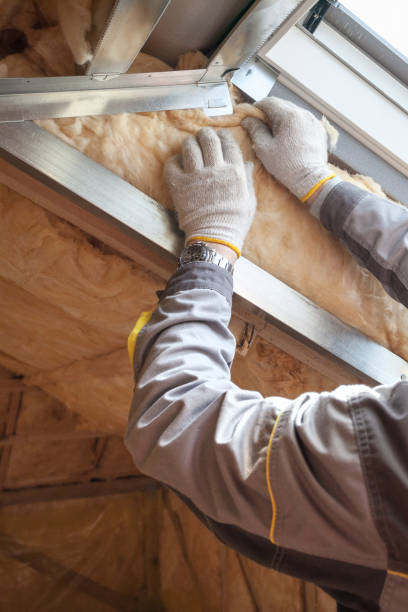 Best Garage Insulation  in Wilmer, TX