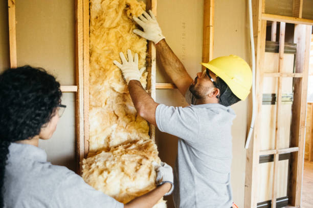 Types of Insulation We Offer in Wilmer, TX