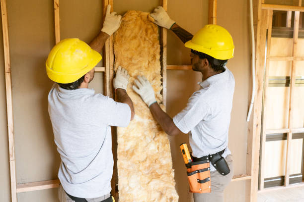 Best Insulation for New Construction  in Wilmer, TX